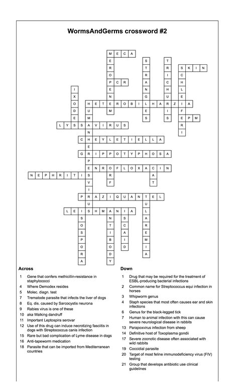 some 20 question answers crossword